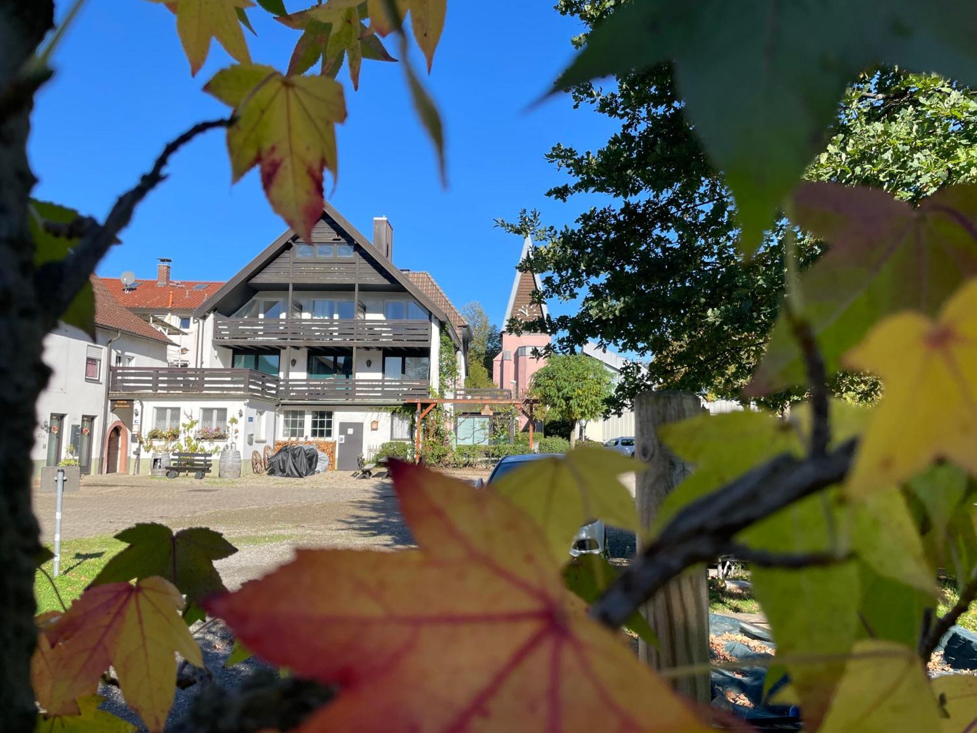 Gasthaus Hirschenstube & Gaestehaus Gehri فالدكريش المظهر الخارجي الصورة